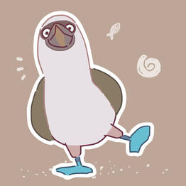 Blue-footed booby