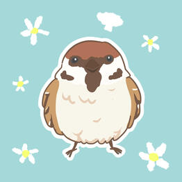 Sparrow